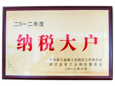 2012年度納稅大戶